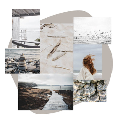 Collage of grey sand, sea shells, birds and gloomy beaches