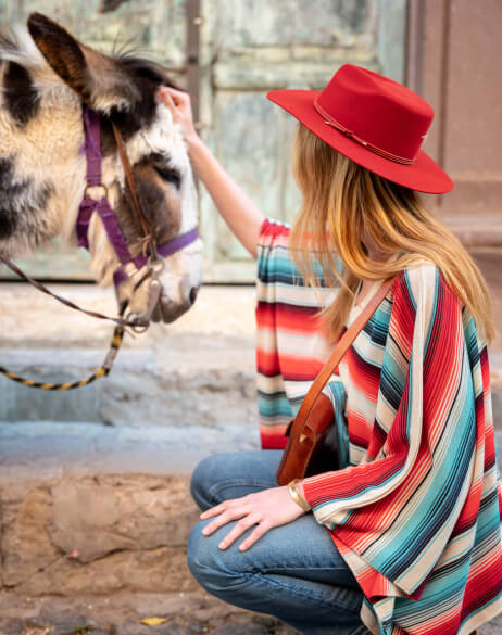 Woman in a colorful striped shirt and red hat petting a donkey.