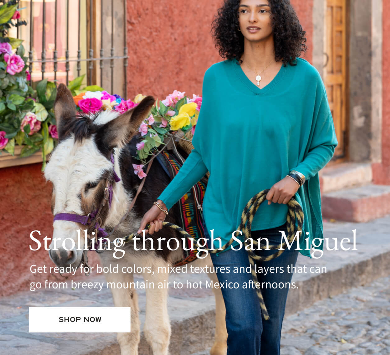 Woman in teal top standing next to a donkey with text about San Miguel and shopping.