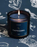 Mersea Capricorn scented candle set against an astrology sign-themed backdrop