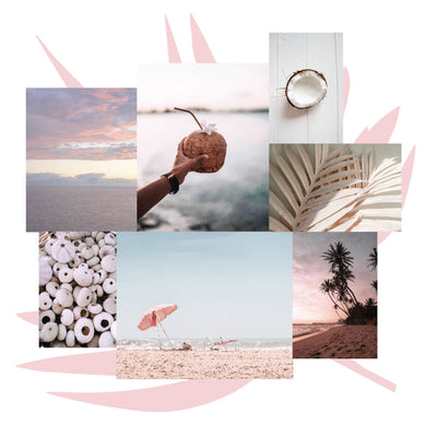collage of images of coconuts, beaches, sunsets and sea shells
