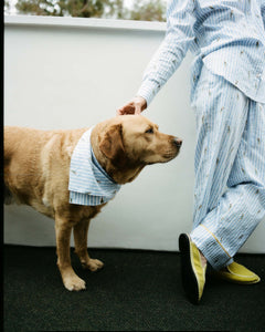 Dog wearing a striped sweater standing next to a person in matching striped pajamas.
