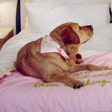 Dog lying on a bed with a pink blanket