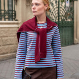 Striped tee in plum berry and blue hues.