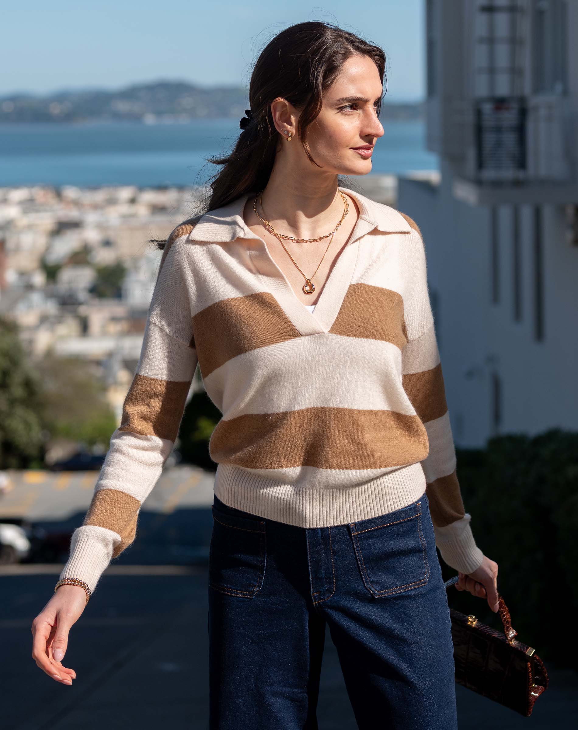 Regatta Cashmere Polo Sweater