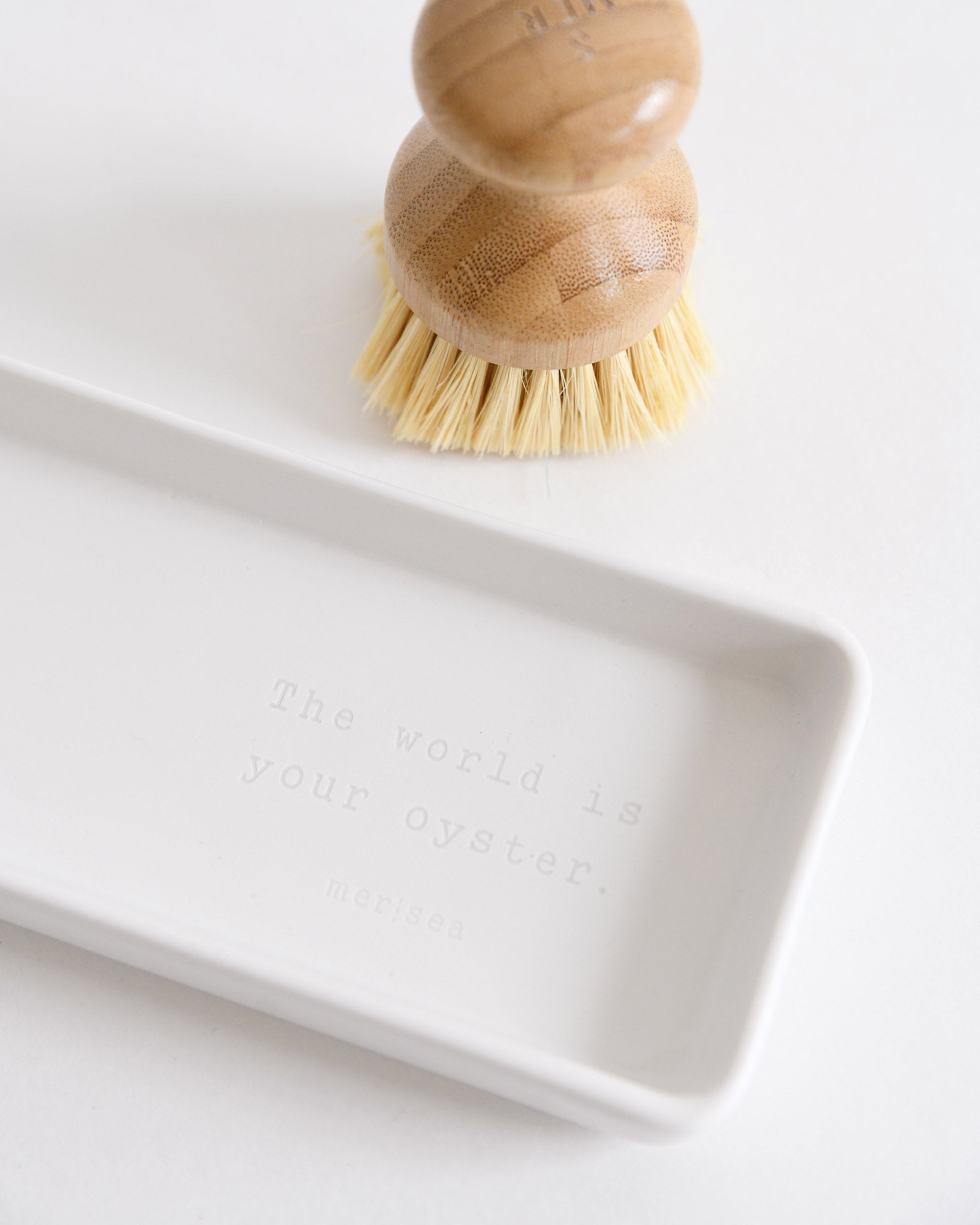 the world is your oyster dish and scrub brush