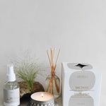 saltaire diffuser, candles, room spray, rock and greenery on a grey background