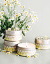 four yellow and grey checkered 3 oz tin summer day candles with white flower vase on grey background