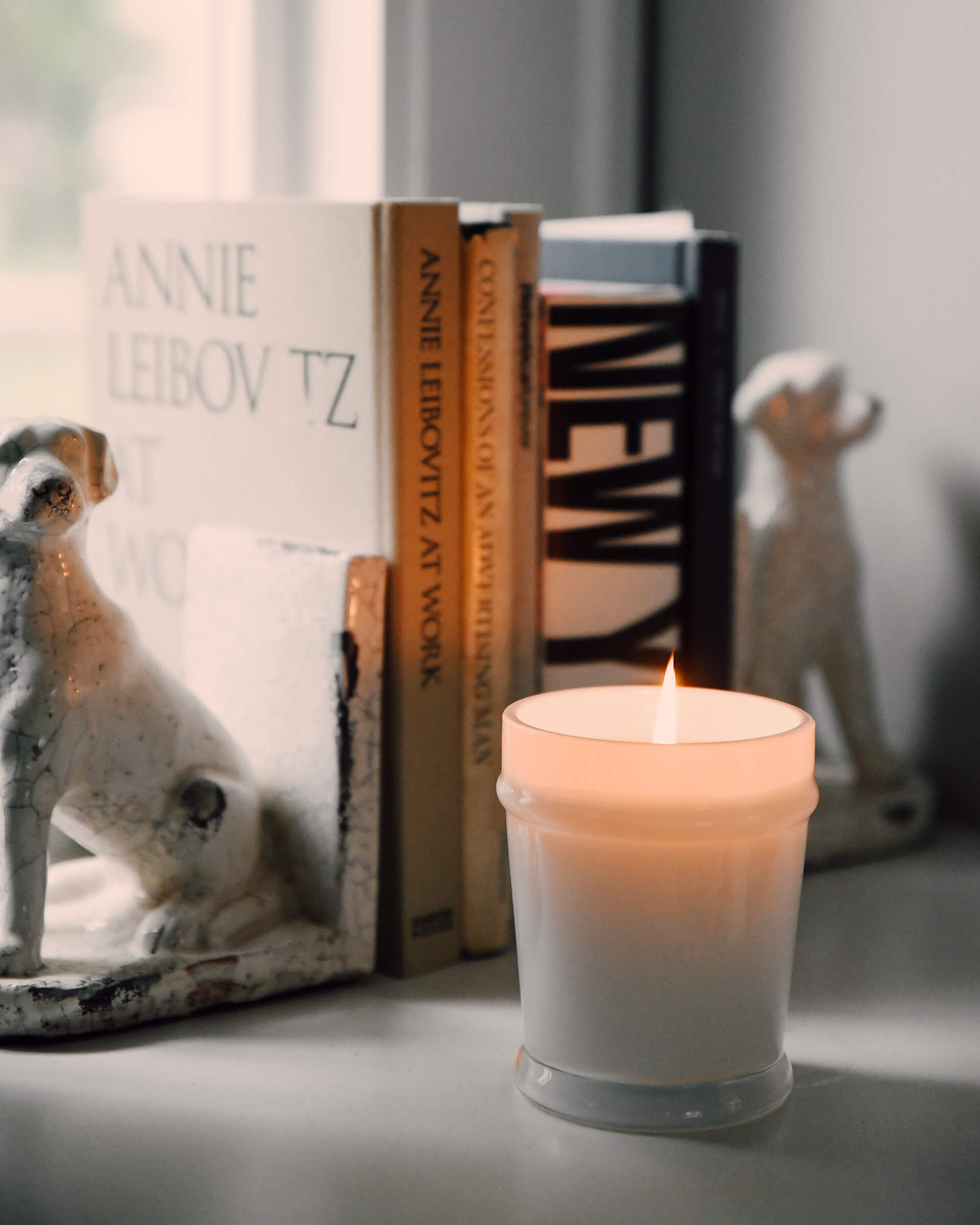 white lit 9 oz sun kissed candle in front of a collection of books held together by a dog 
