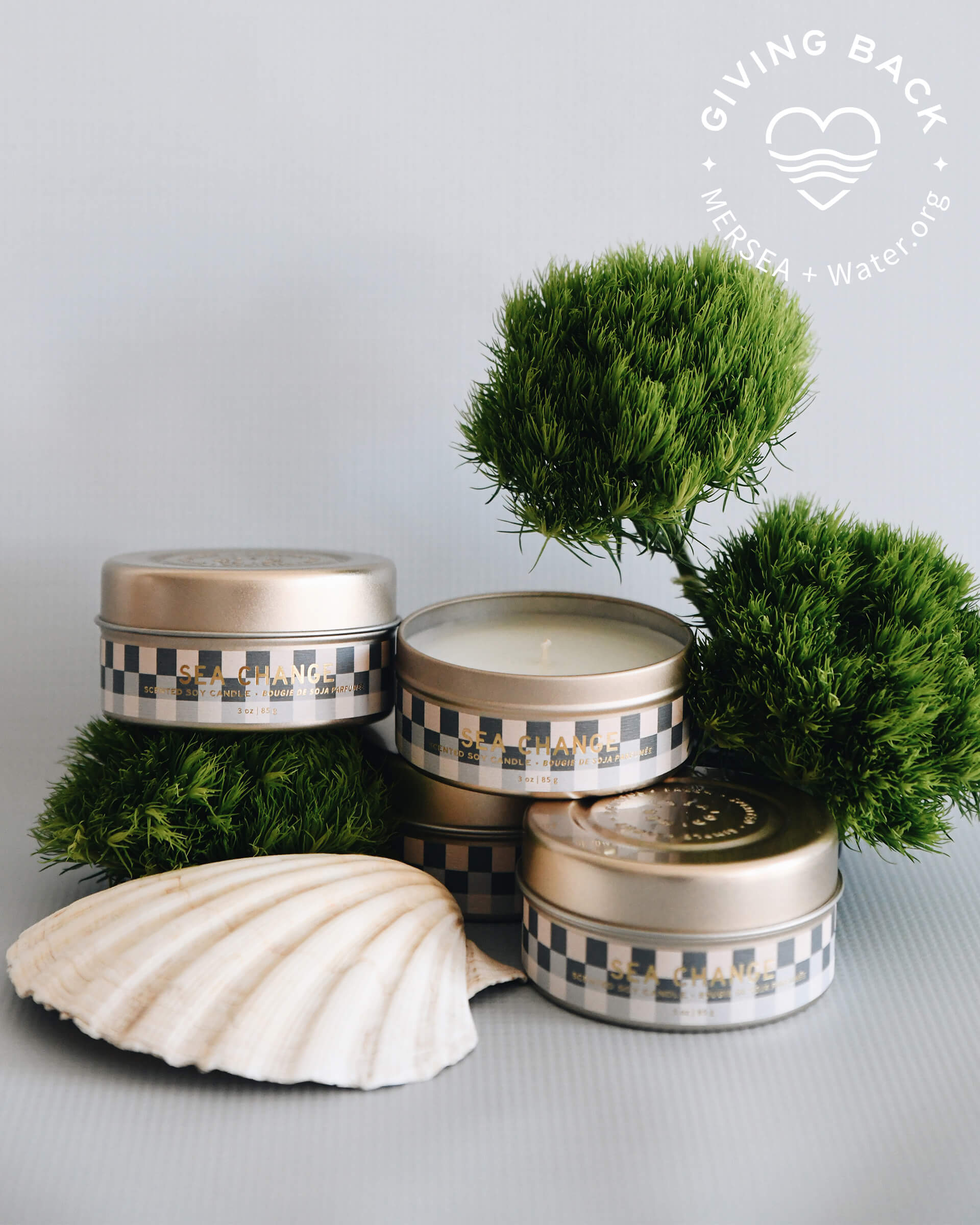 four blue and white checkered 3 oz tin sea change candles sitting near a shell on a grey background